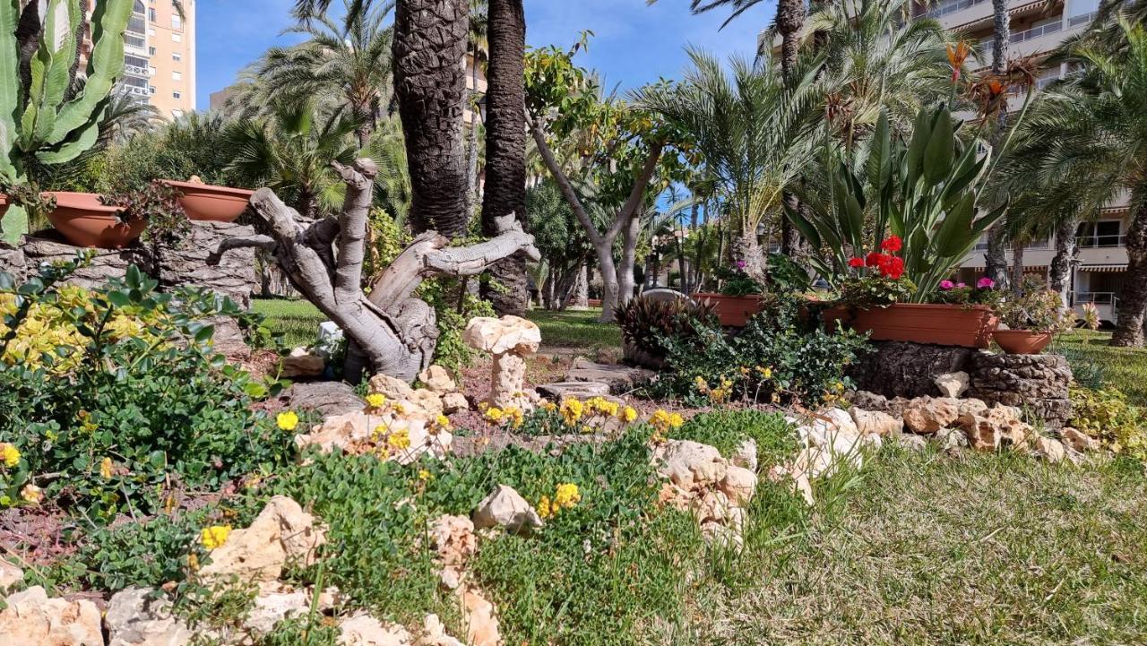 Apartament Palm Beach-El Palmeral Torrevieja Bagian luar foto